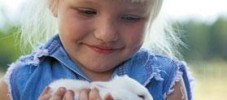 Kaniner är omtyckta husdjur med många positiva effekter på barn